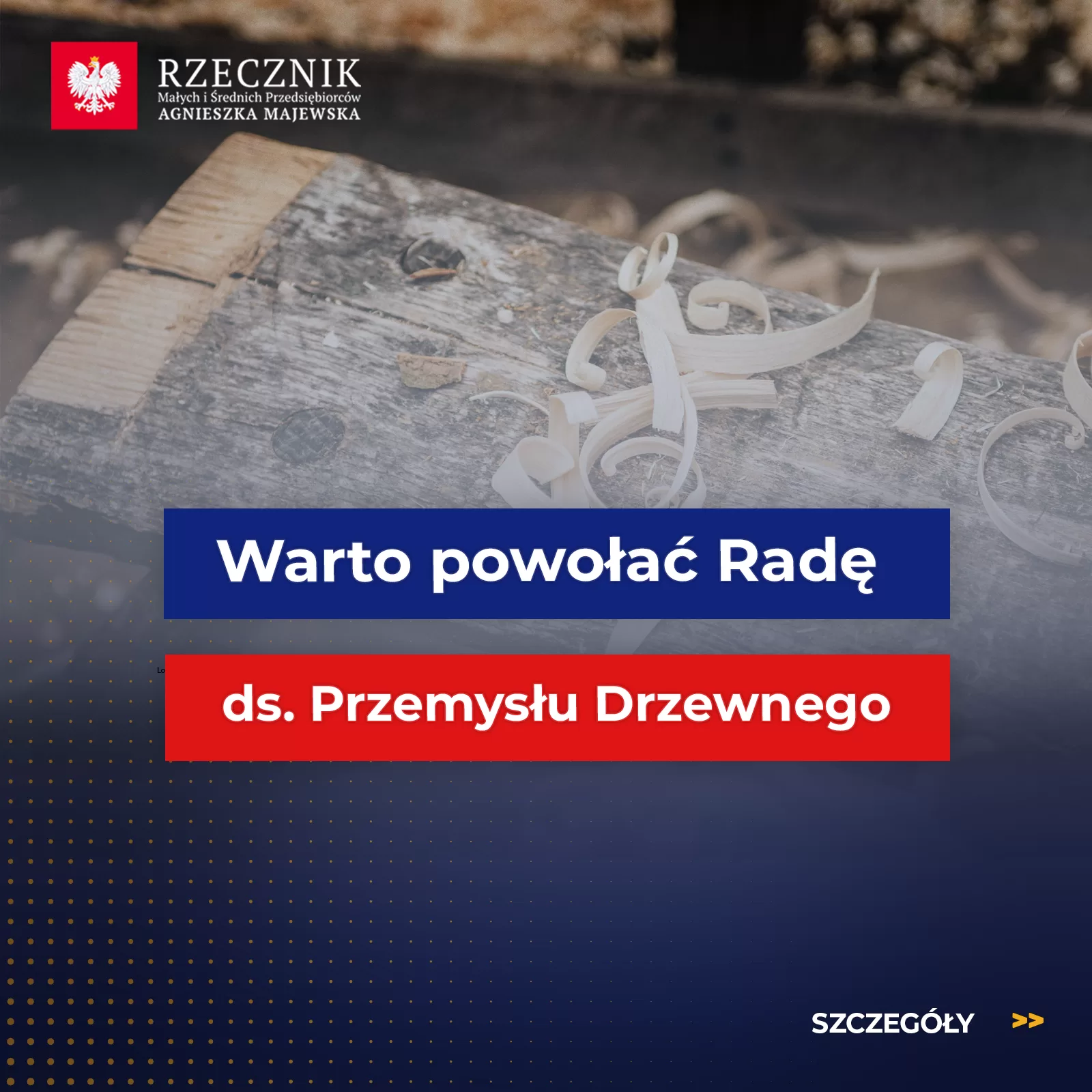 rada ds przemyslu